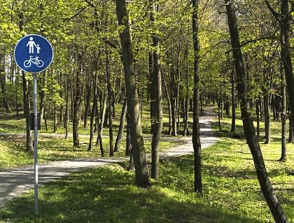 29_Pazaislio dviraciu takas2.jpg